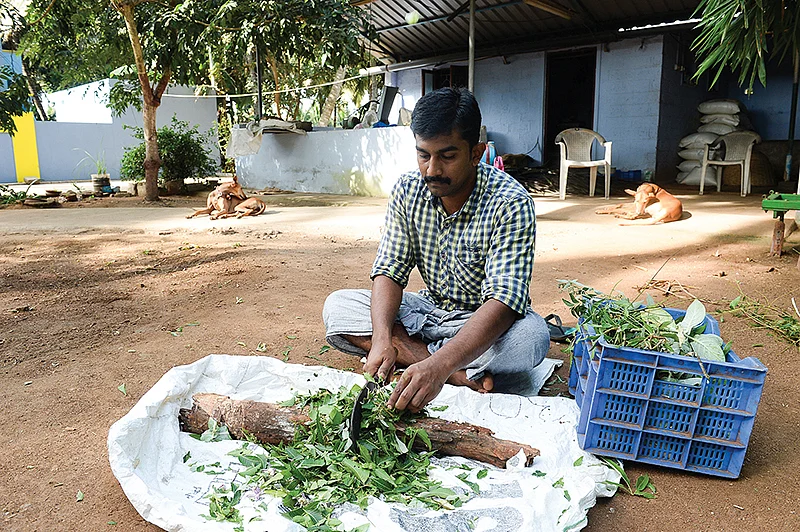 இயற்கை பூச்சிவிரட்டி தயாரிக்கும் பணி