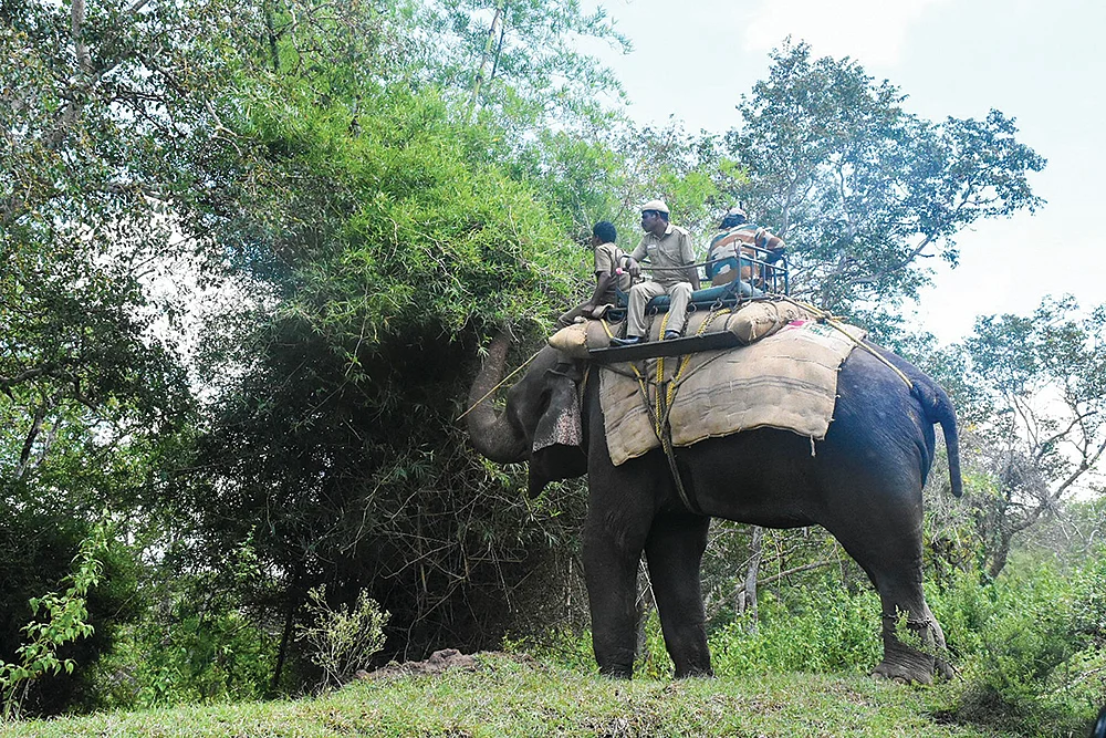 இன்பாக்ஸ்