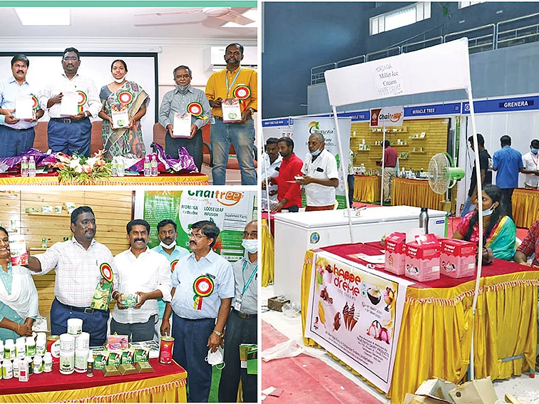 முருங்கைக்கு முதல் மரியாதை!காத்திருக்குது உலக சந்தை... களத்தில் குதியுங்கள் விவசாயிகளே!