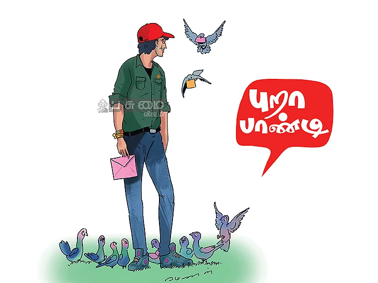 சூப்பர் நேப்பியர் புல்லில் ஆக்ஸாலிக் ஆசிட்... கால்நடைகளுக்கு ஆபத்தா?