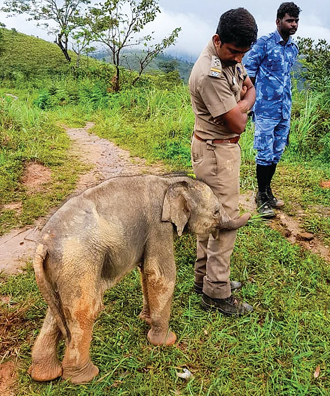 இன்பாக்ஸ்