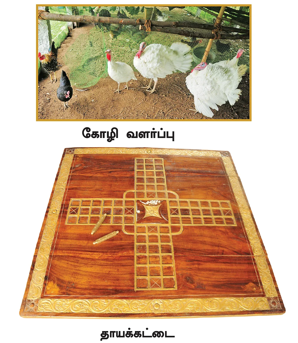 கிராமத்து வாழ்க்கையை கற்றுத் தரும் கிளார்!