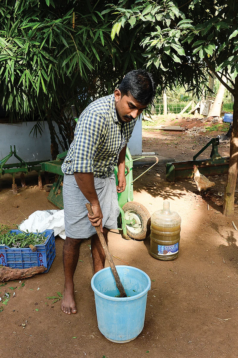 இயற்கை பூச்சிவிரட்டி தயாரிக்கும் பணி