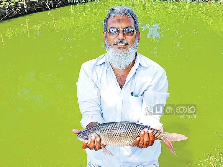 ஆண்டுக்கு ரூ.8 லட்சம் லாபம்!வளமான வருமானம் கொடுக்கும் மீன் பண்ணை!