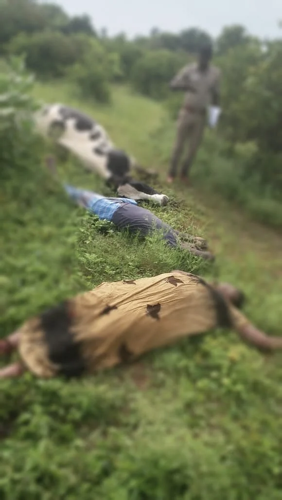 உடல்களைப் பார்வையிட்ட போலீஸார்
