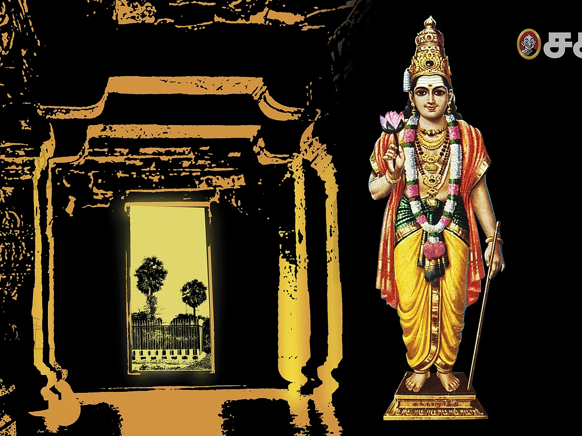 திருப்பனங்காடு