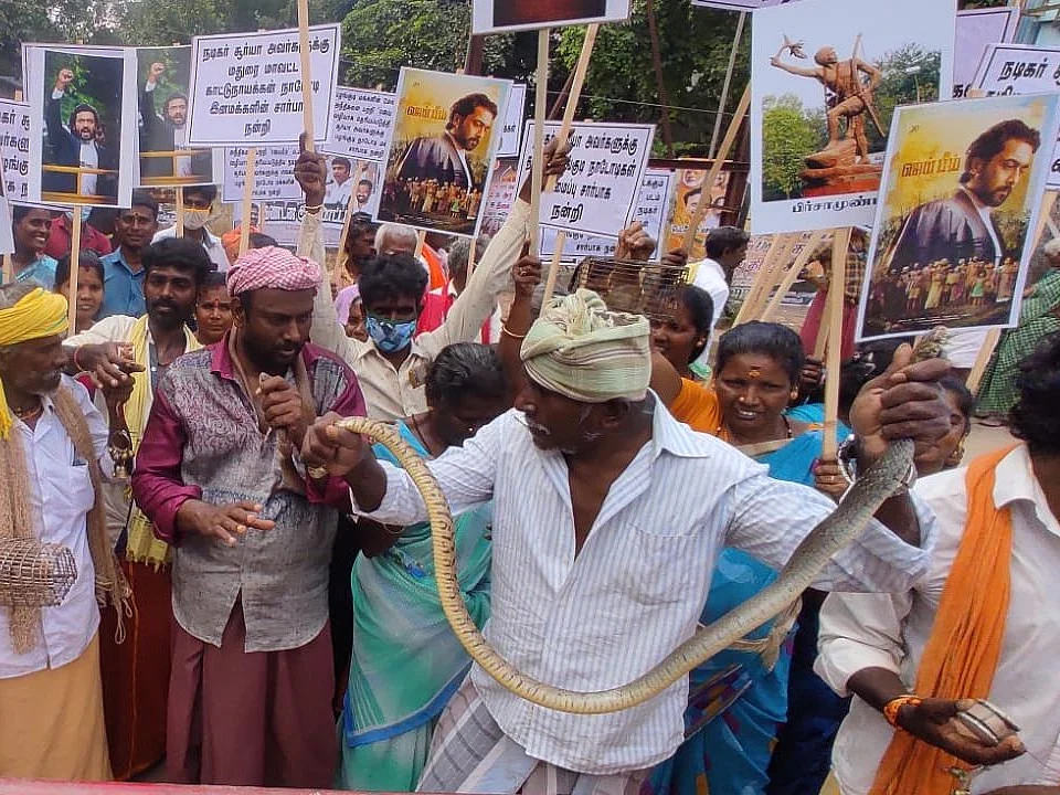 ``சூர்யாவுக்கு எதிராக அசம்பாவிதம் செய்தால் பாம்புகளை எறிவோம்!" - பழங்குடியின மக்கள்!