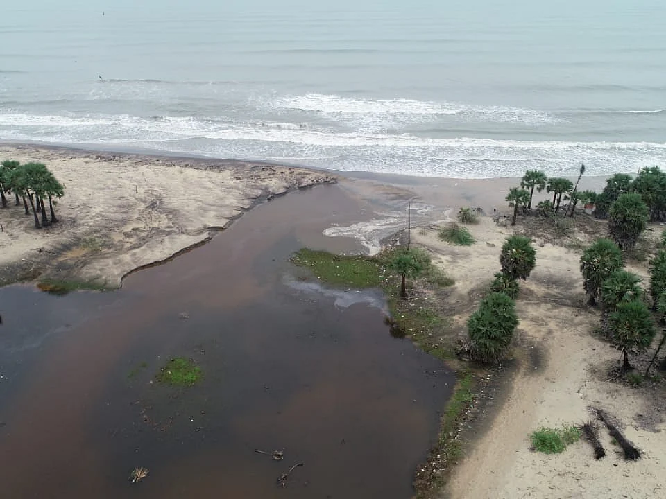 கடல்நீரால் நாசமாகும் தோட்டக்கலைப் பயிர்கள்; கவலையில் நாகை விவசாயிகள்!