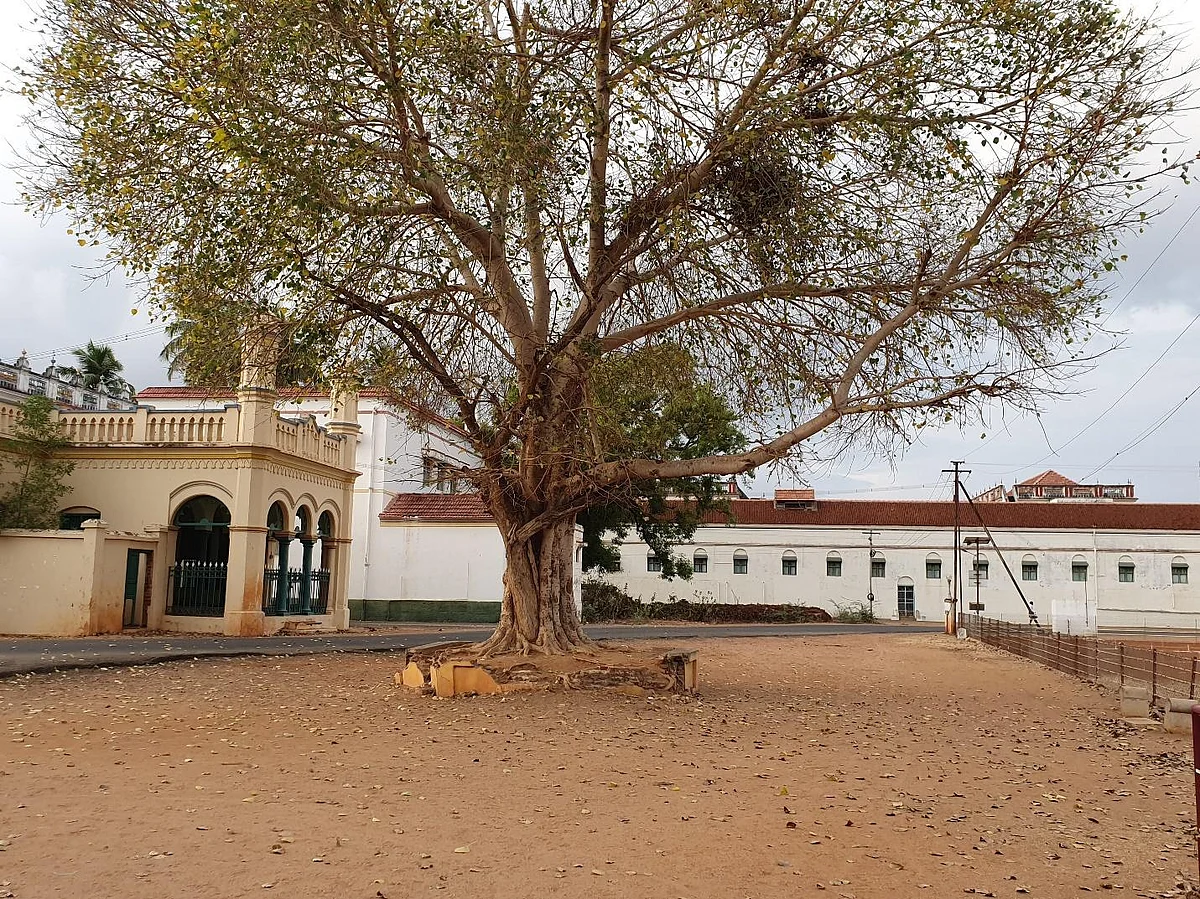 Chettinad