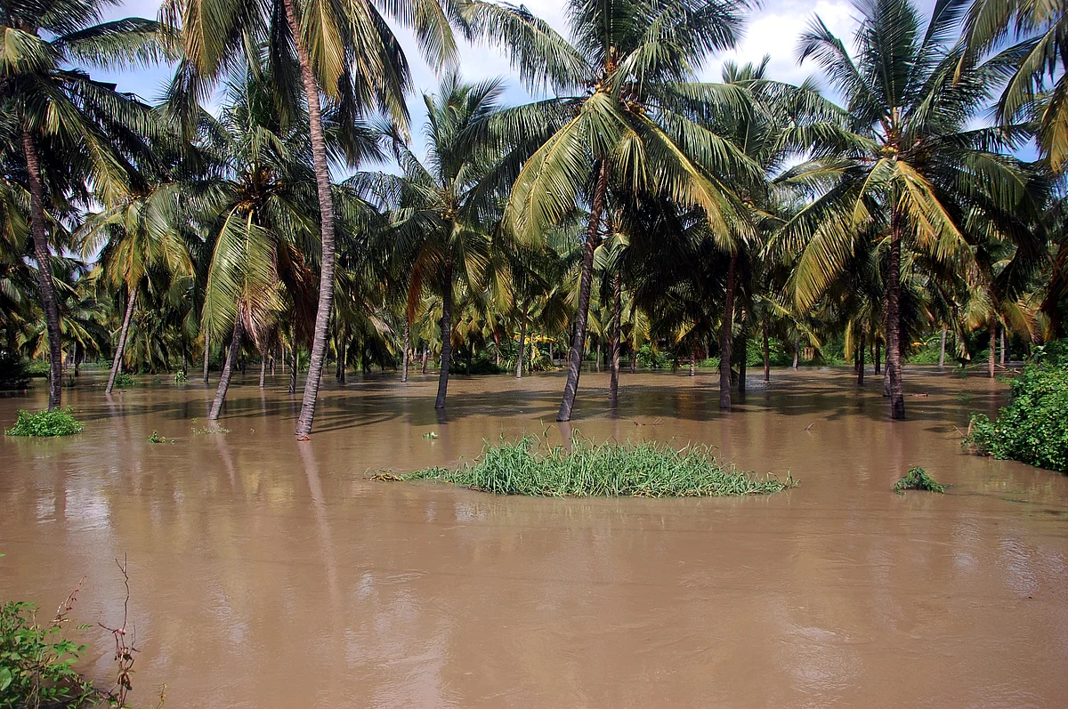 மழை வெள்ளம்