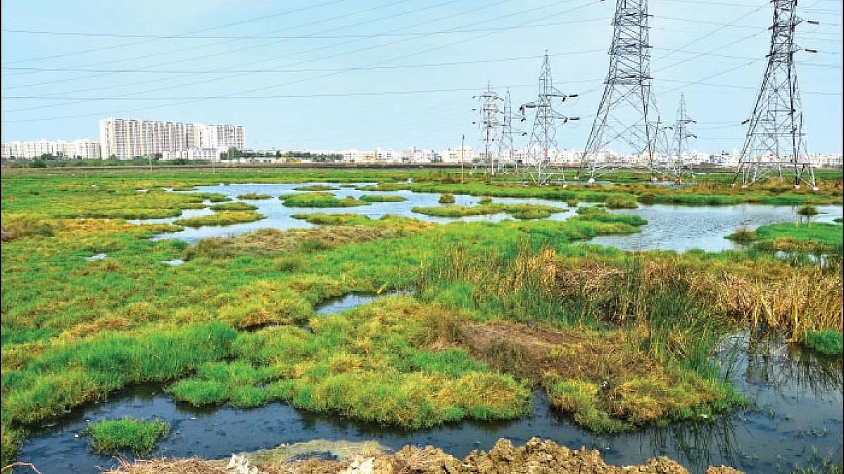 பள்ளிக்கரணை சதுப்பு நிலம்