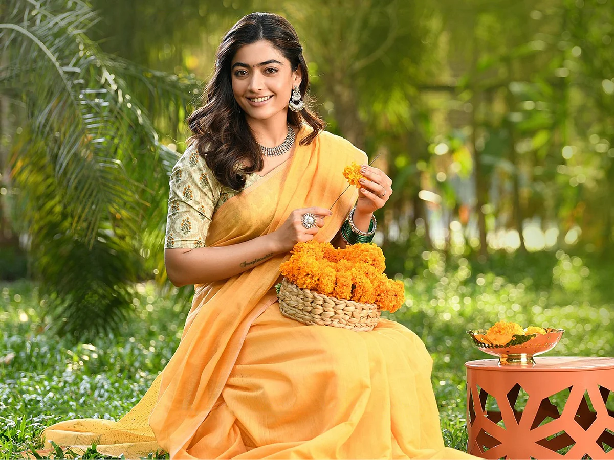 மிஸ்டர் மியாவ்
