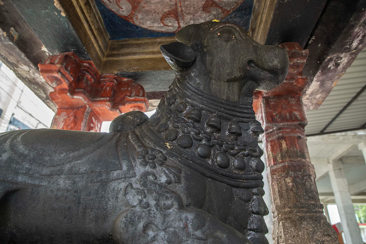 நந்தியெம்பெருமான்