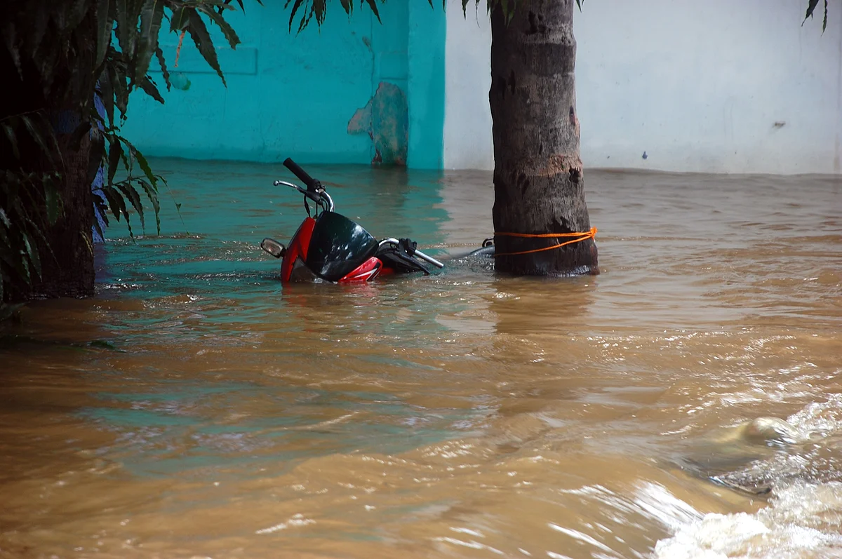 தோவாளை