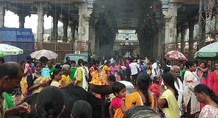 பக்தர்கள் - கார்த்திகை தீபம்
