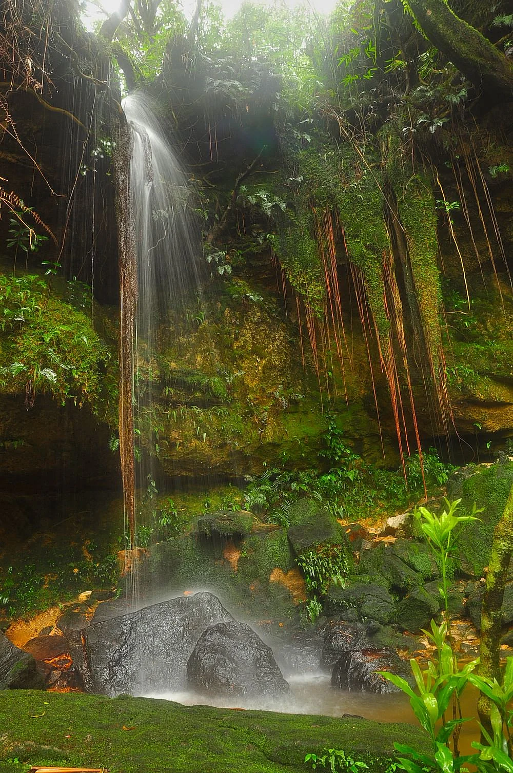 அருவி