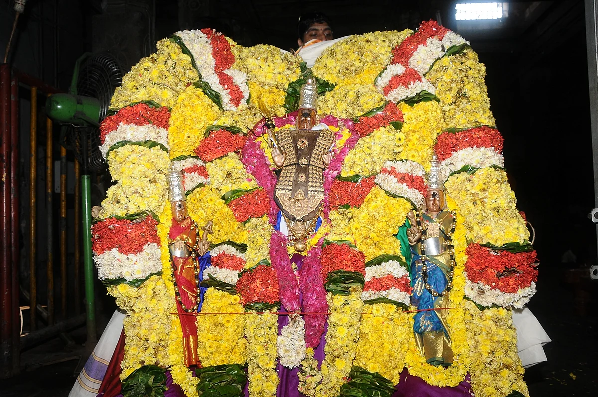 நல்லன எல்லாம் அருள்வாள்
கிரிவல நாயகி !