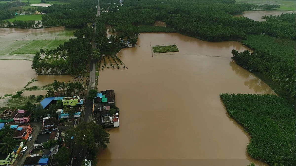 தெரிசனங்கோப்பு