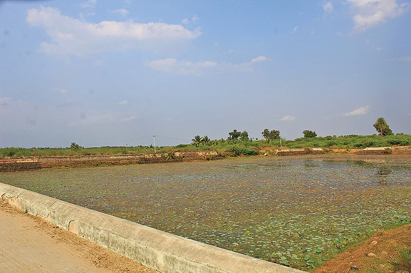 பசி தீர்க்கும் பரமன்!