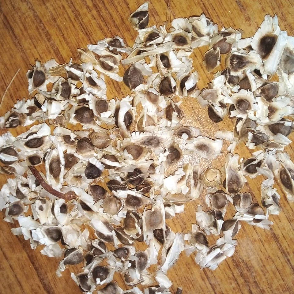 விதைகள்