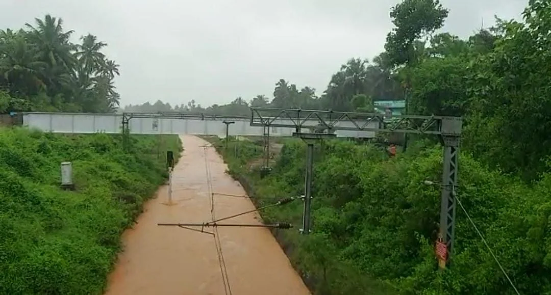 குமரி