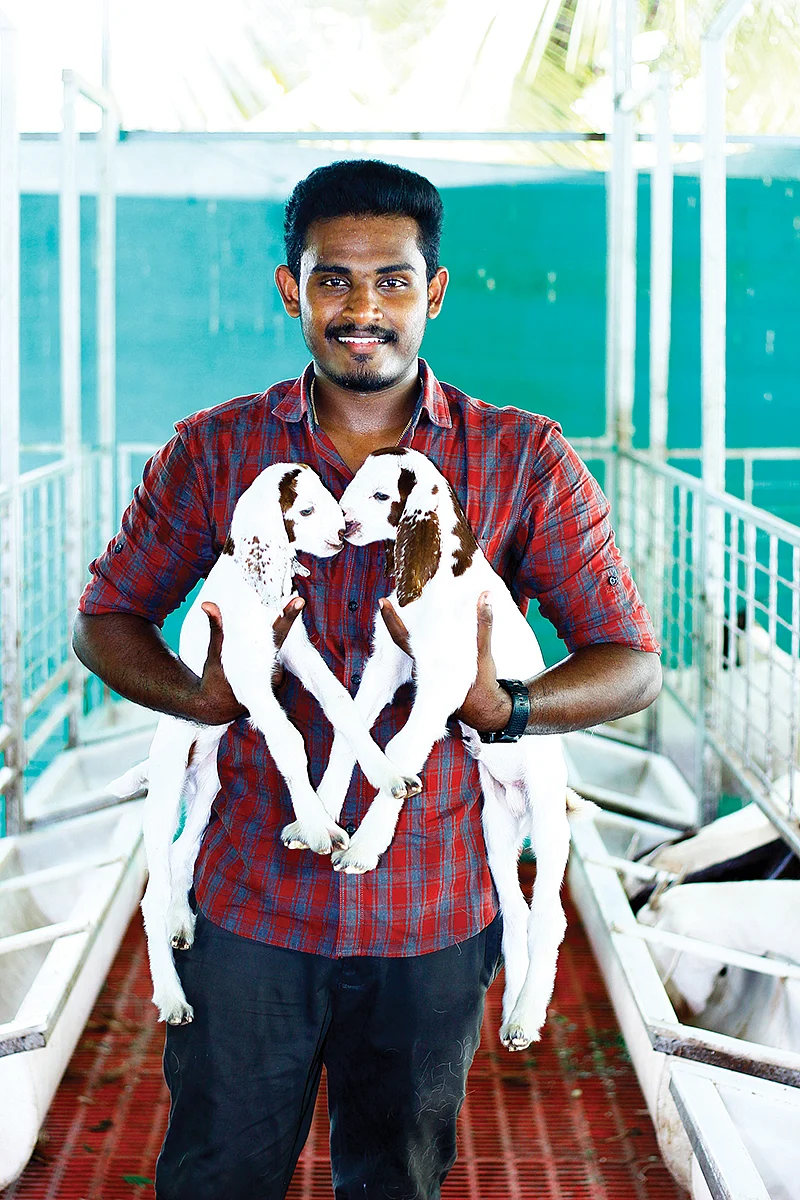 ஆட்டுக் குட்டிகளுடன் அரவிந்த் பாலகிருஷ்ணன்