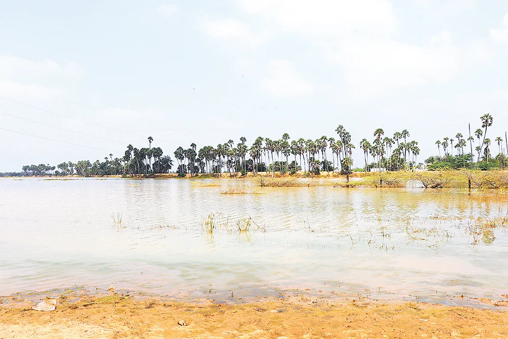 நரியம்பாக்கம் ஏரி - தூர் வாருவதற்கு முன்பு