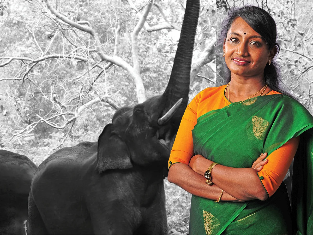 மிரட்டப்படுகிறாரா நீலகிரி கலெக்டர்? - நெருக்கும் ஆளுங்கட்சியினர்!