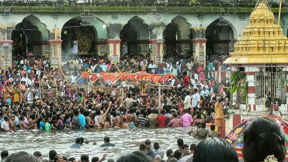 துலா உற்சவம்