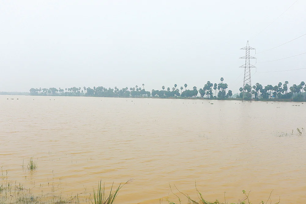 நரியம்பாக்கம் ஏரி - இப்போது...
