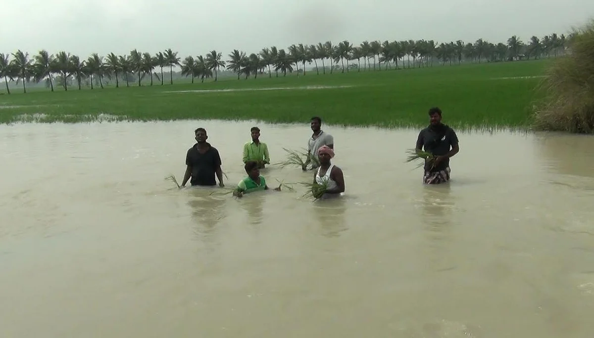விவசாயிகள்