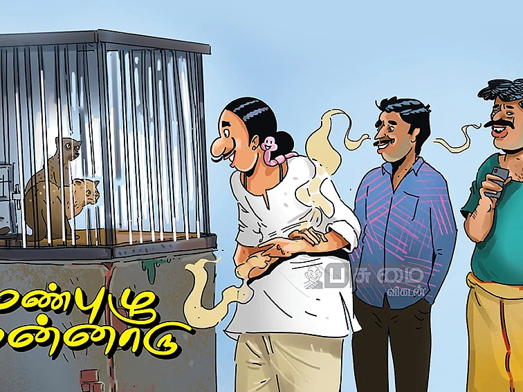 புனுகுப் பூனையும் போலி கஸ்தூரியும்