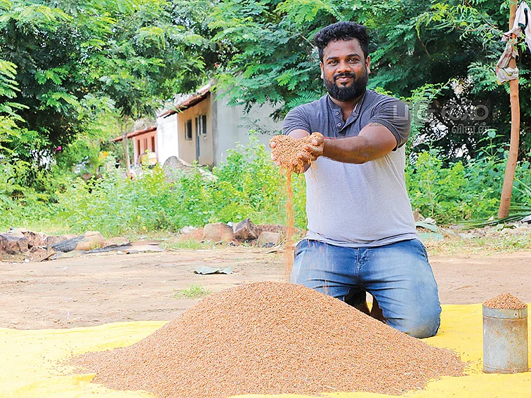 11 ஏக்கர்,
58 பாரம்பர்ய நெல் ரகங்கள், ரூ.3,34,000 லாபம்!
