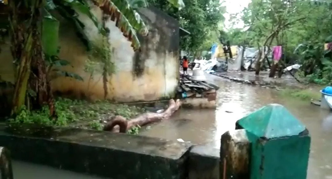 மழை பாதிப்பு