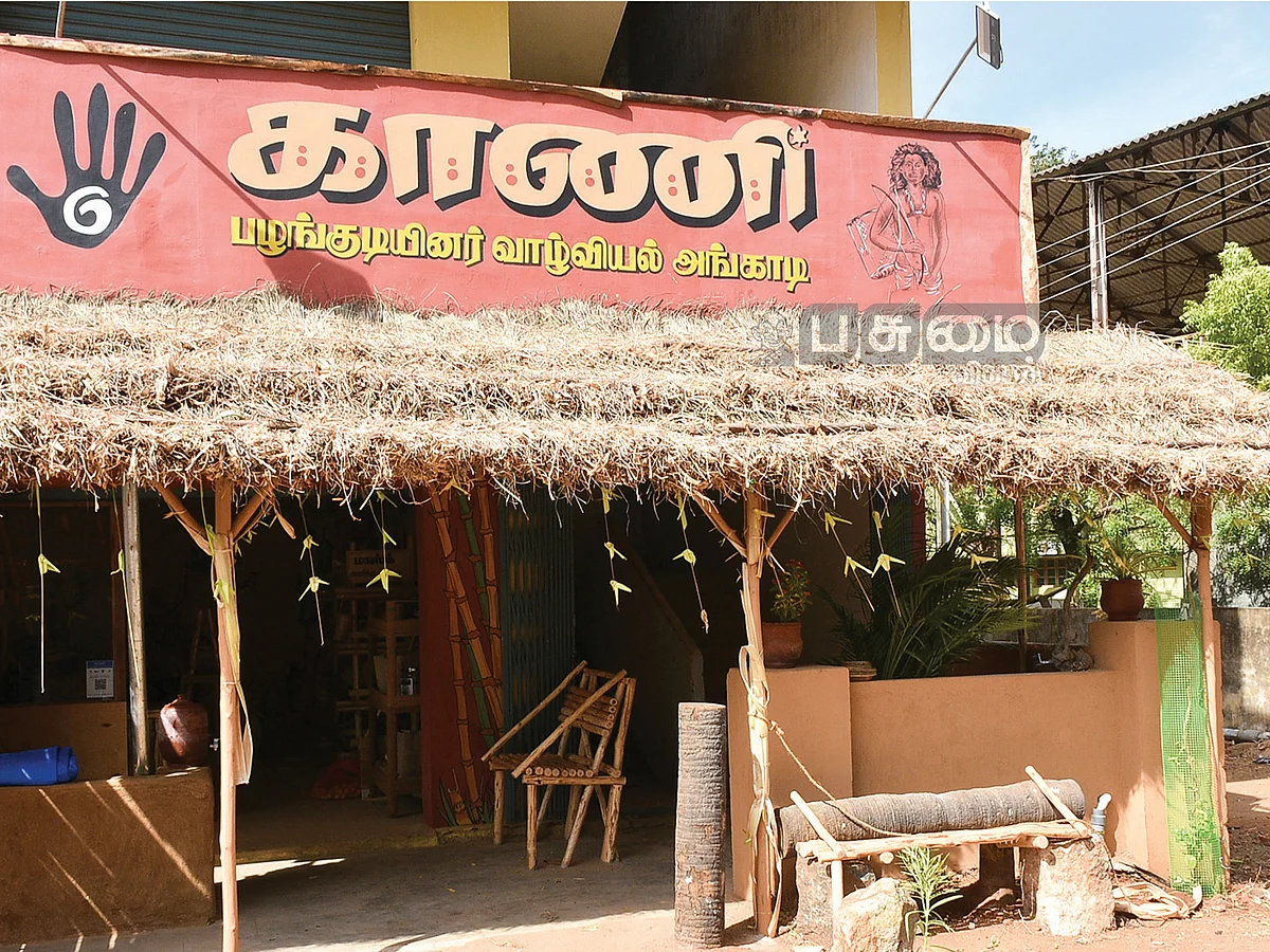மலைக்க வைக்கும் மலைத்தேன்!மருத்துவ ரகசியம் சொல்லும் காணிகள்!