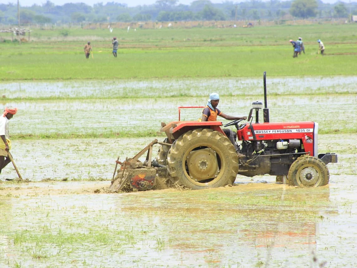 முடங்கிய இணையதள சர்வர்; சம்பா பயிர் இன்ஷூரன்ஸ் செய்ய முடியாமல் தவிக்கும் விவசாயிகள்; உதவுமா அரசு?