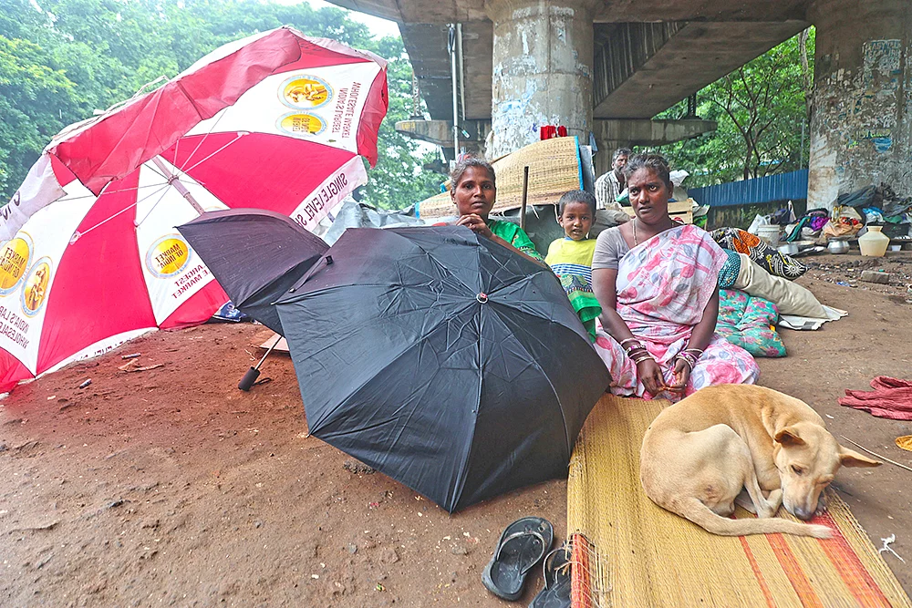 சேப்பாக்கம் - திருவல்லிக்கேணி