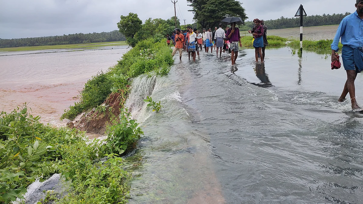 வேம்பனூர் குளம் உடைந்ததால் வயல்வெளிக்குள் புகுந்த தண்ணீர்