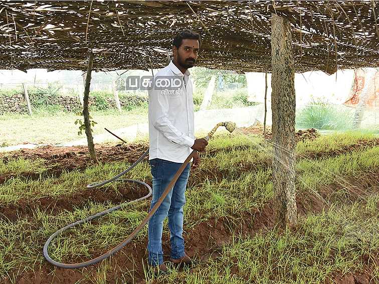 மாதம் ரூ.2 லட்சம்
கோதுமைப் புல் ஜூஸ்!
அமேசானில் விற்பனை...