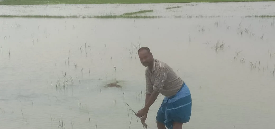பாதிக்கப்பட்ட விவசாயி