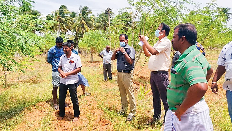 வயல் ஆய்வு