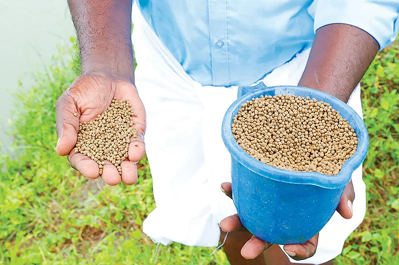தீவனம்