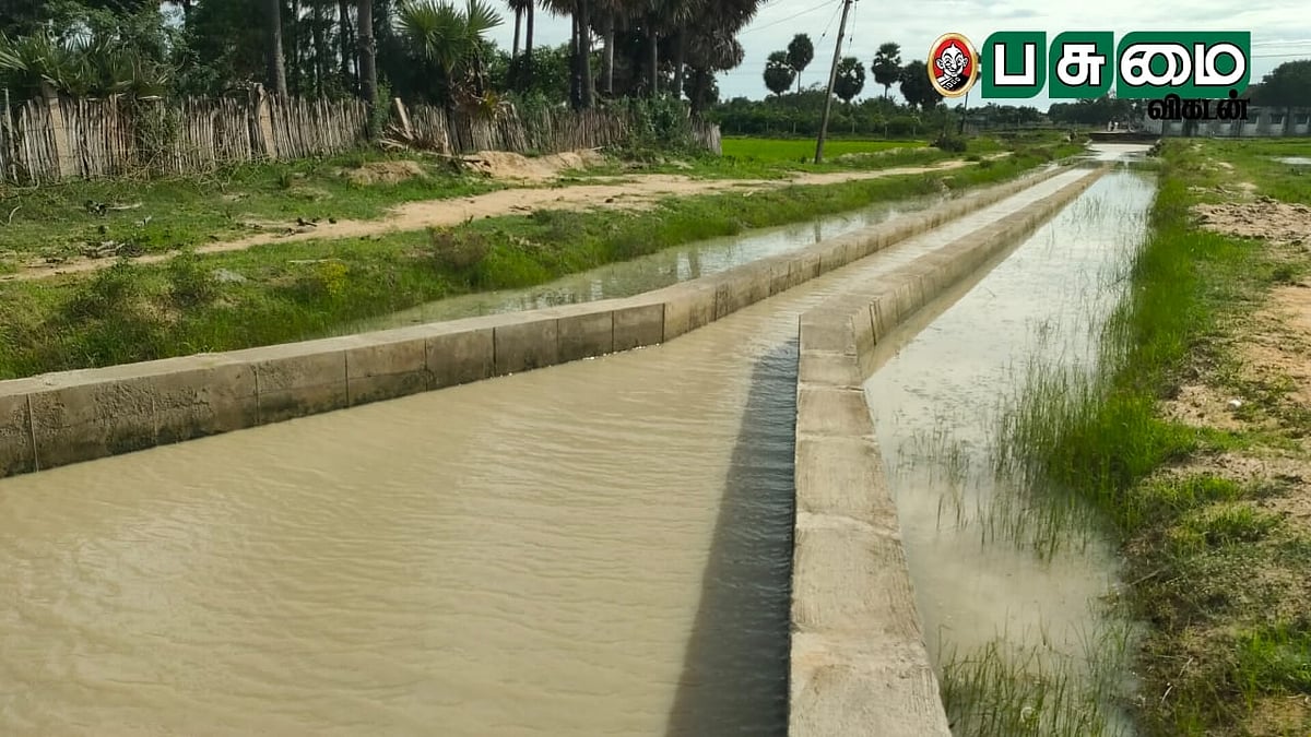 கடலுக்குச் சென்ற மழைநீர்; ஊருக்குள் திருப்பிவிட்டு சேமித்து ஊரை பசுமையாக்கிய மக்கள்!
