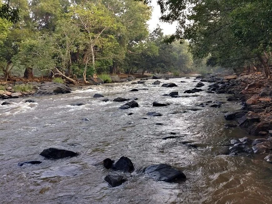 மாயாறு