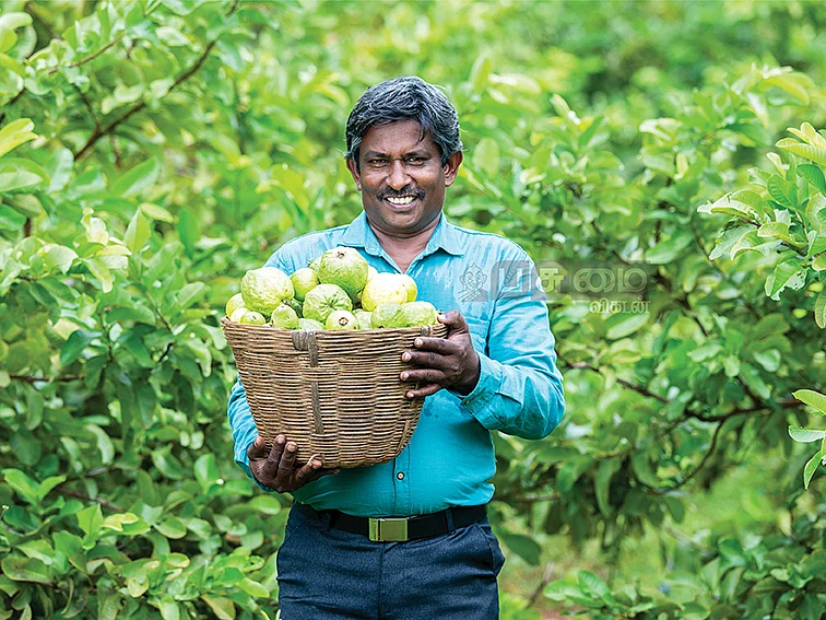 10 ஏக்கர்...ரூ.7 லட்சம் லாபம்!
நெல், காய்கறிகள், பழங்கள், கால்நடைகள்...