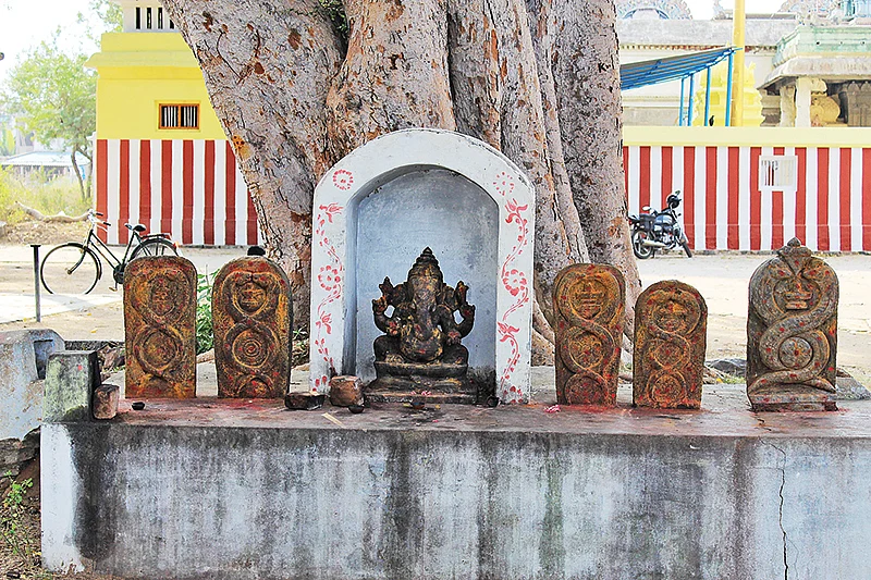 பசி தீர்க்கும் பரமன்!