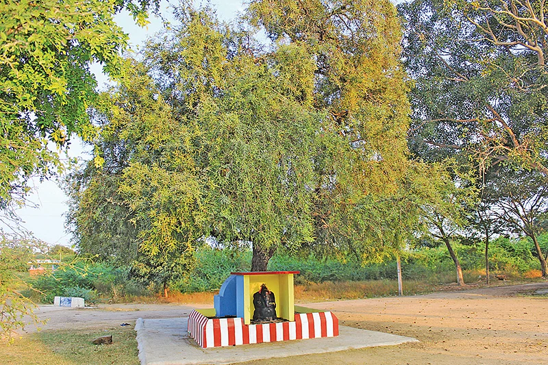 பசி தீர்க்கும் பரமன்!