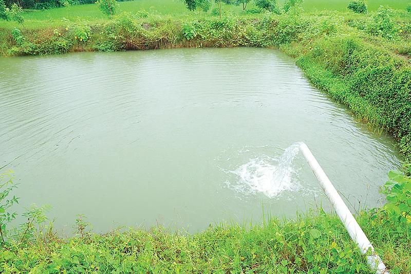 மீன் குளம்