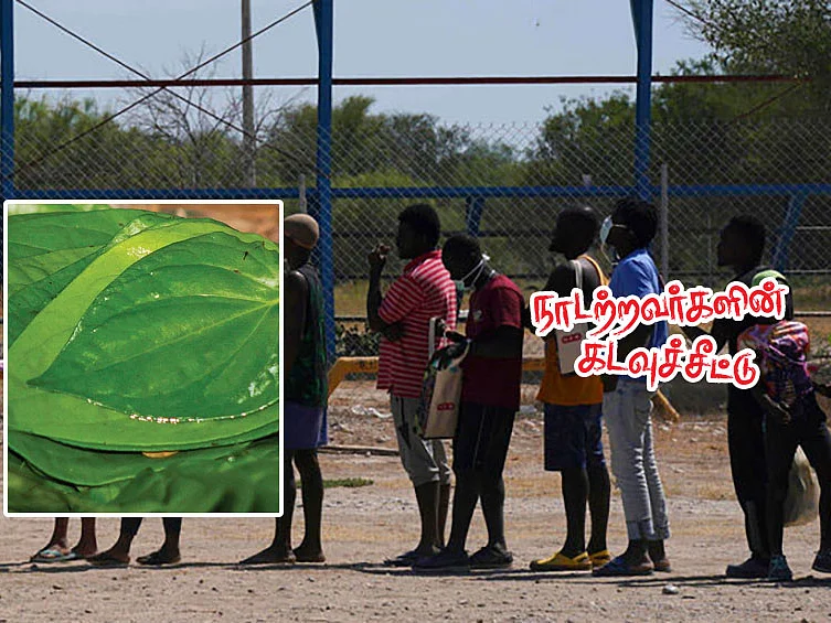 நாடற்றவர்களின் கடவுச்சீட்டு