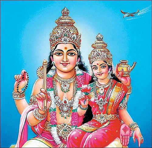 சுக்கிரபகவான்